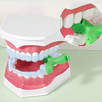 Amazon | GXXMEI 6PCS Y型アライナーチューイー カラフル